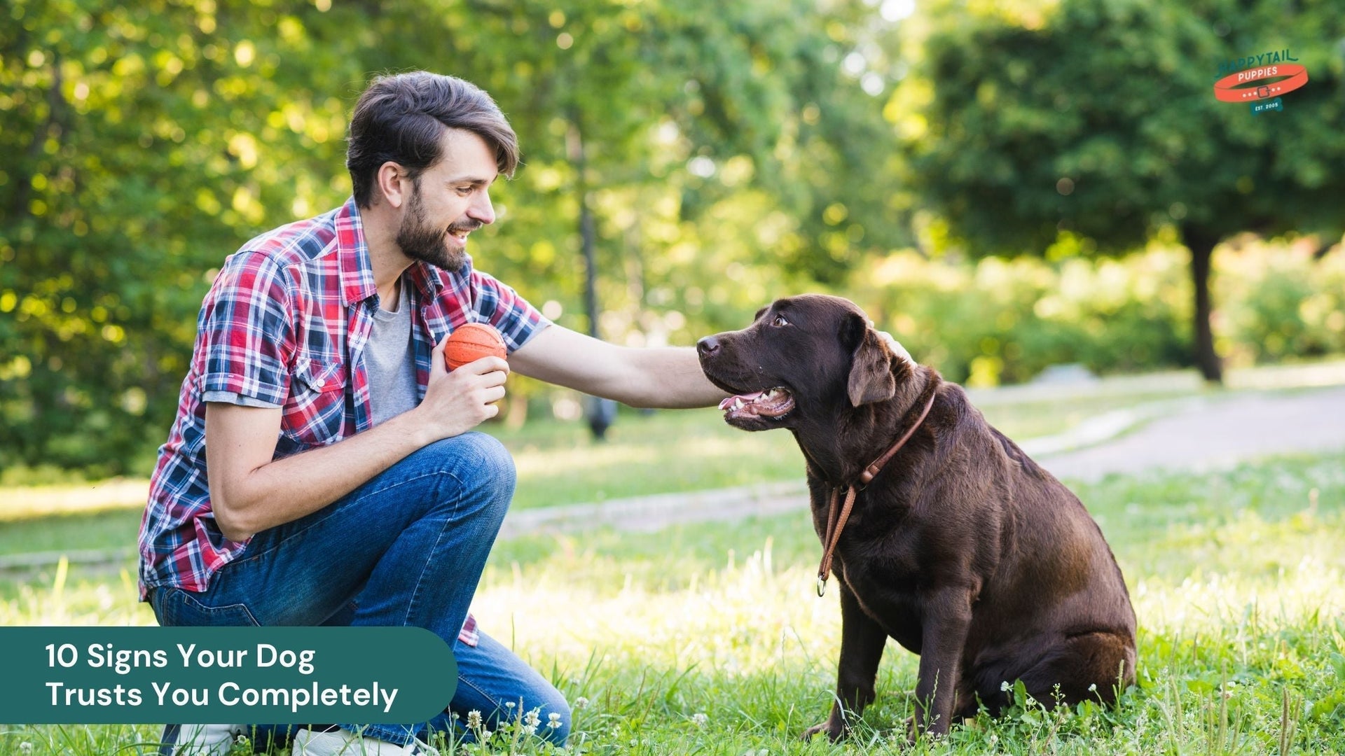 10 Signs Your Dog Trusts You Completely