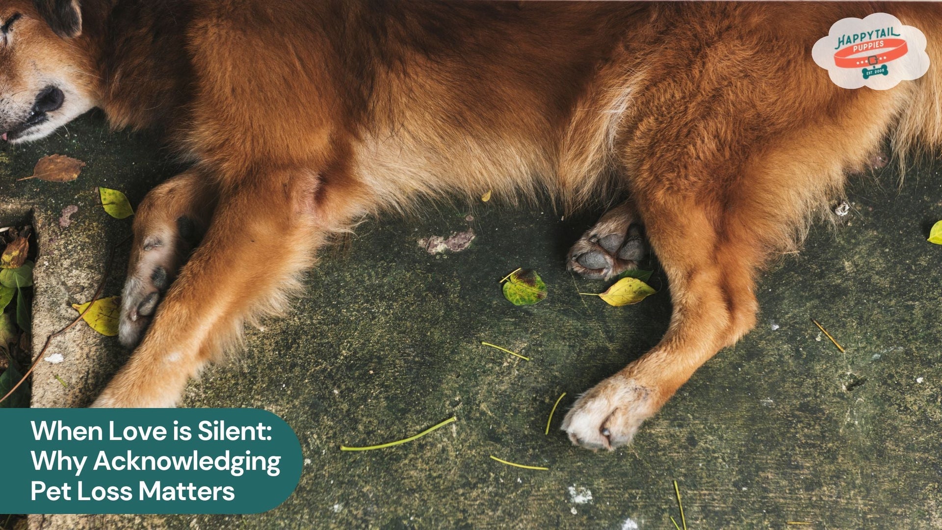 When Love is Silent: Why Acknowledging Pet Loss Matters