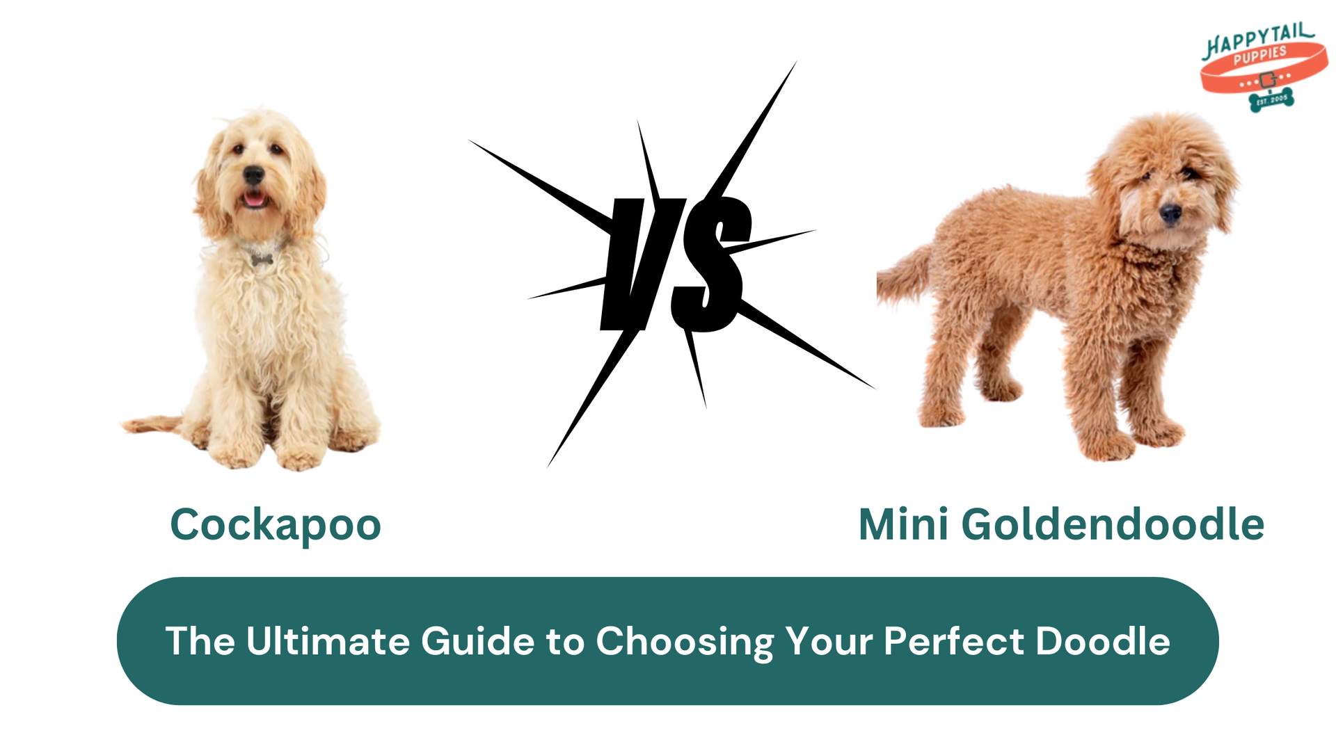 Cockapoo Vs Mini Goldendoodle