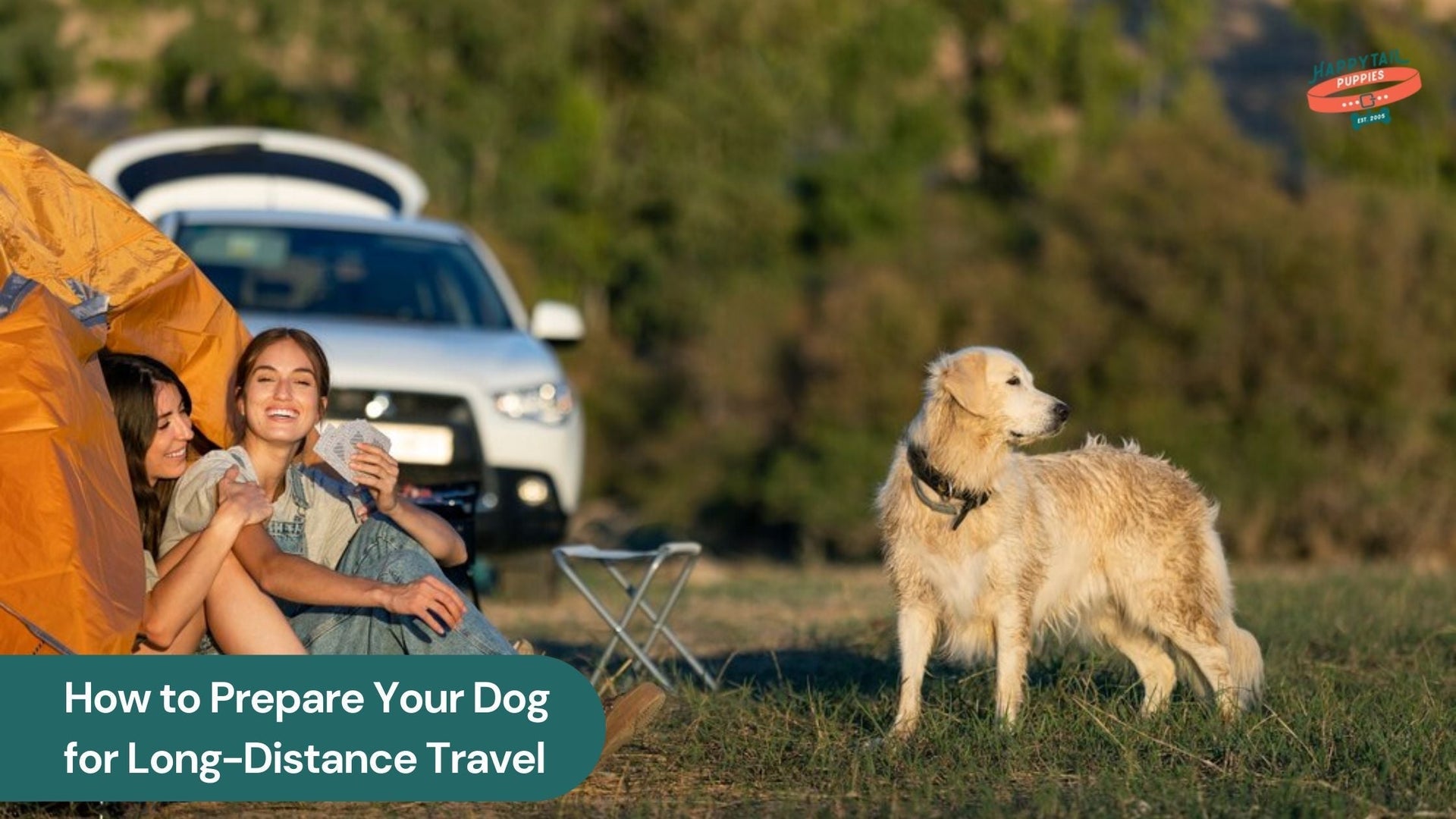 Preparing Your Dog for Long-Distance Travel: A Step-by-Step Guide