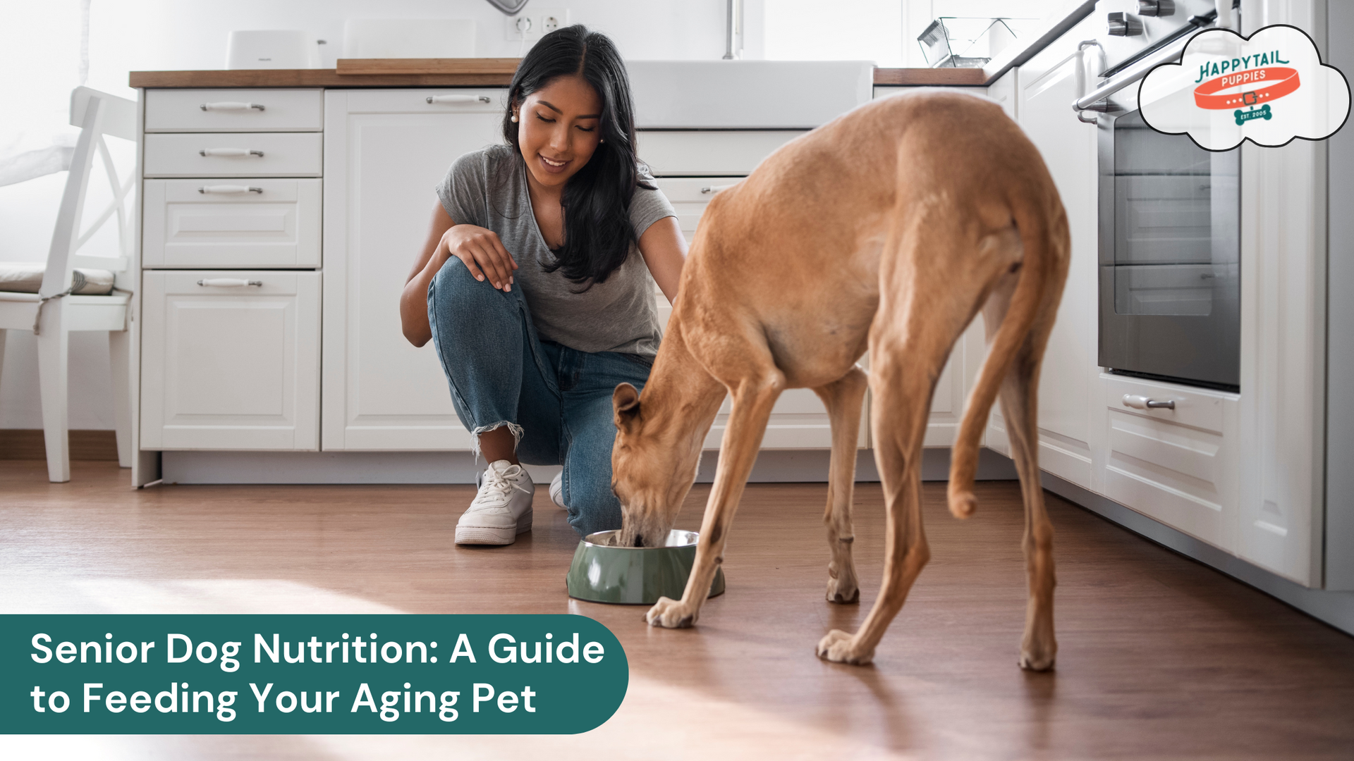 Senior Dog Care and Nutrition: What to Feed Your Aging Canine