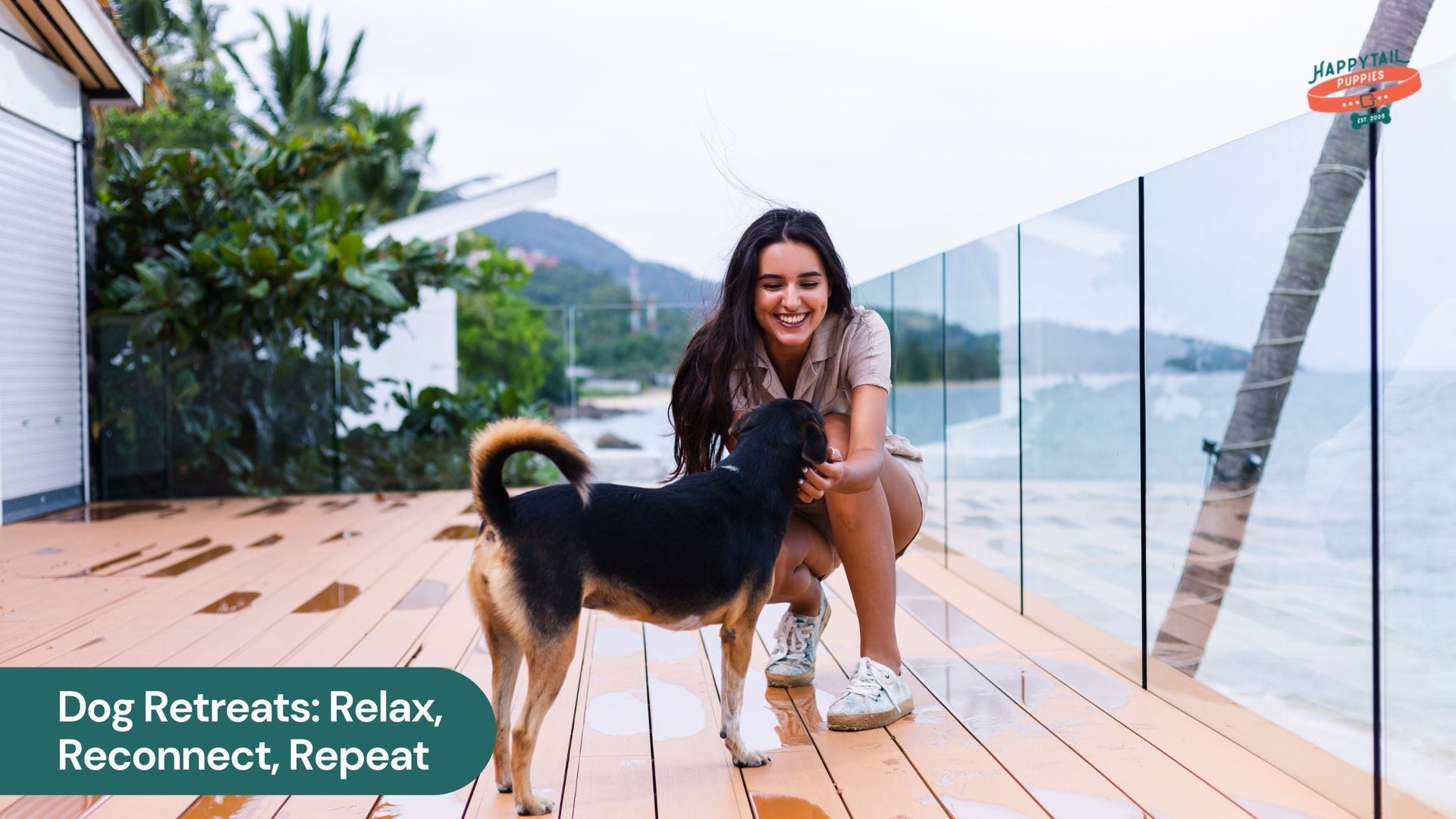 Retreat, Relax, Reconnect: A Guide to Dog-Friendly Retreats