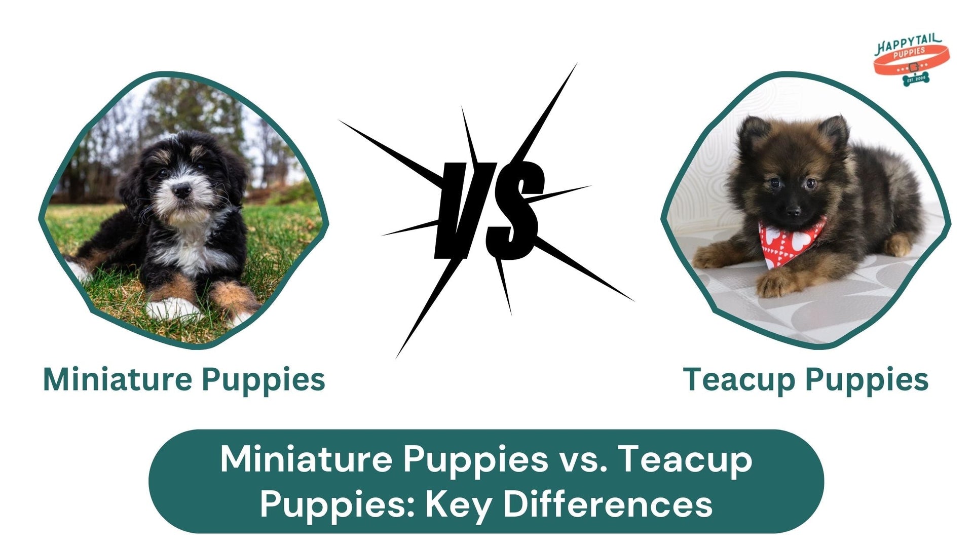 Miniature Puppies vs. Teacup Puppies: Understanding the Difference