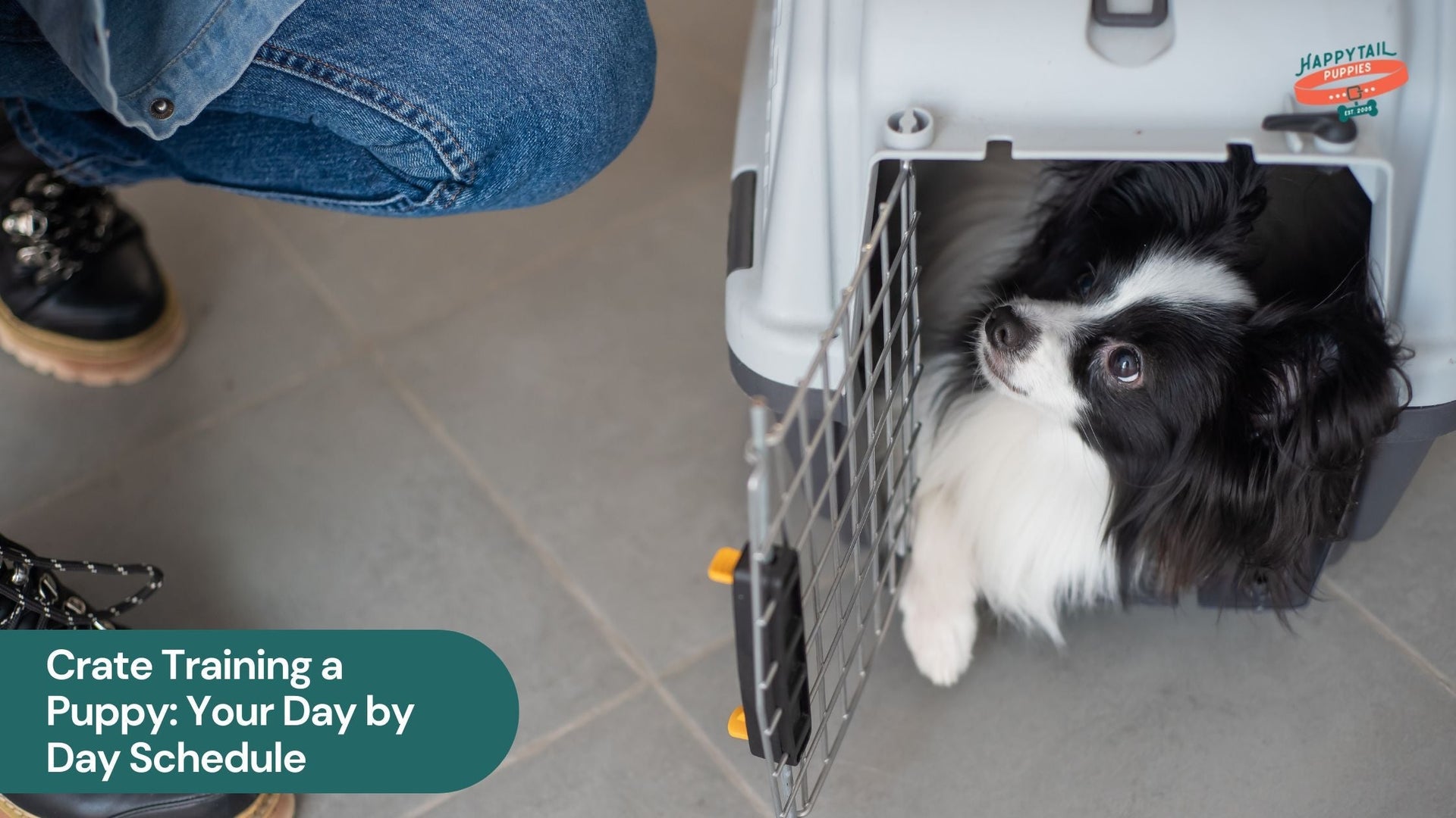 Crate Training a Puppy: Your Day-by-Day Schedule for a Happy, Confident, and Crate-Loving Pup
