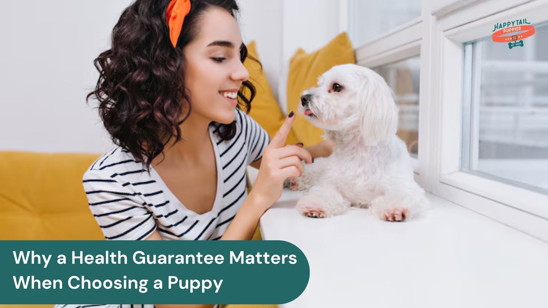 Why a Health Guarantee Matters When Choosing a Puppy