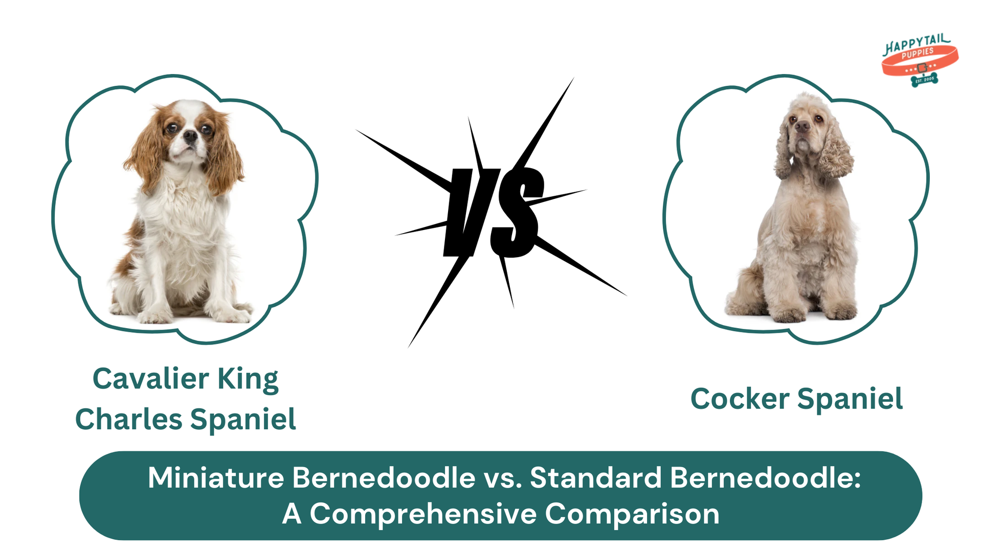 Cavalier King Charles Spaniel vs. Cocker Spaniel: Which Breed is Right for You?