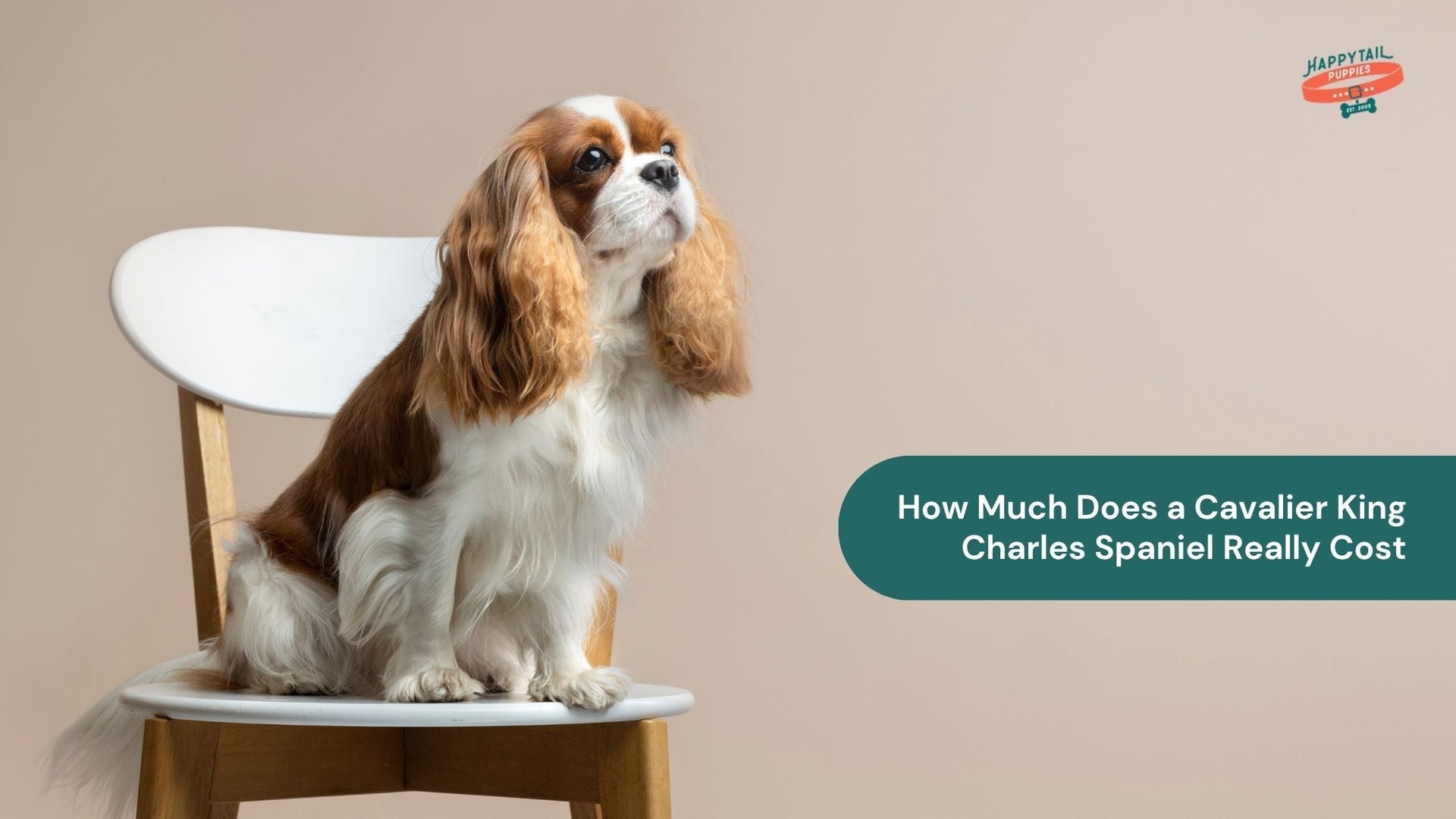How Much Does a Cavalier King Charles Spaniel Really Cost?
