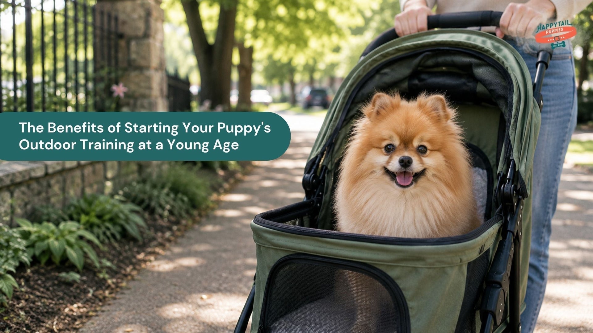 The Benefits of Starting Your Puppy's Outdoor Training at a Young Age