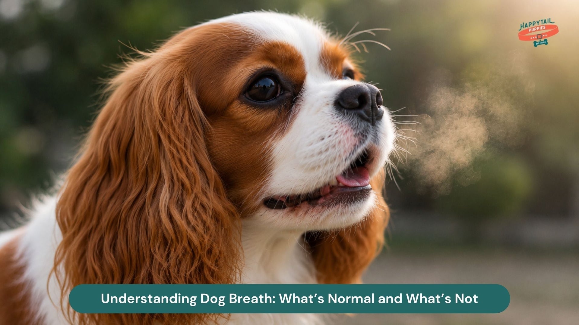 Understanding Dog Breath: What’s Normal and What’s Not