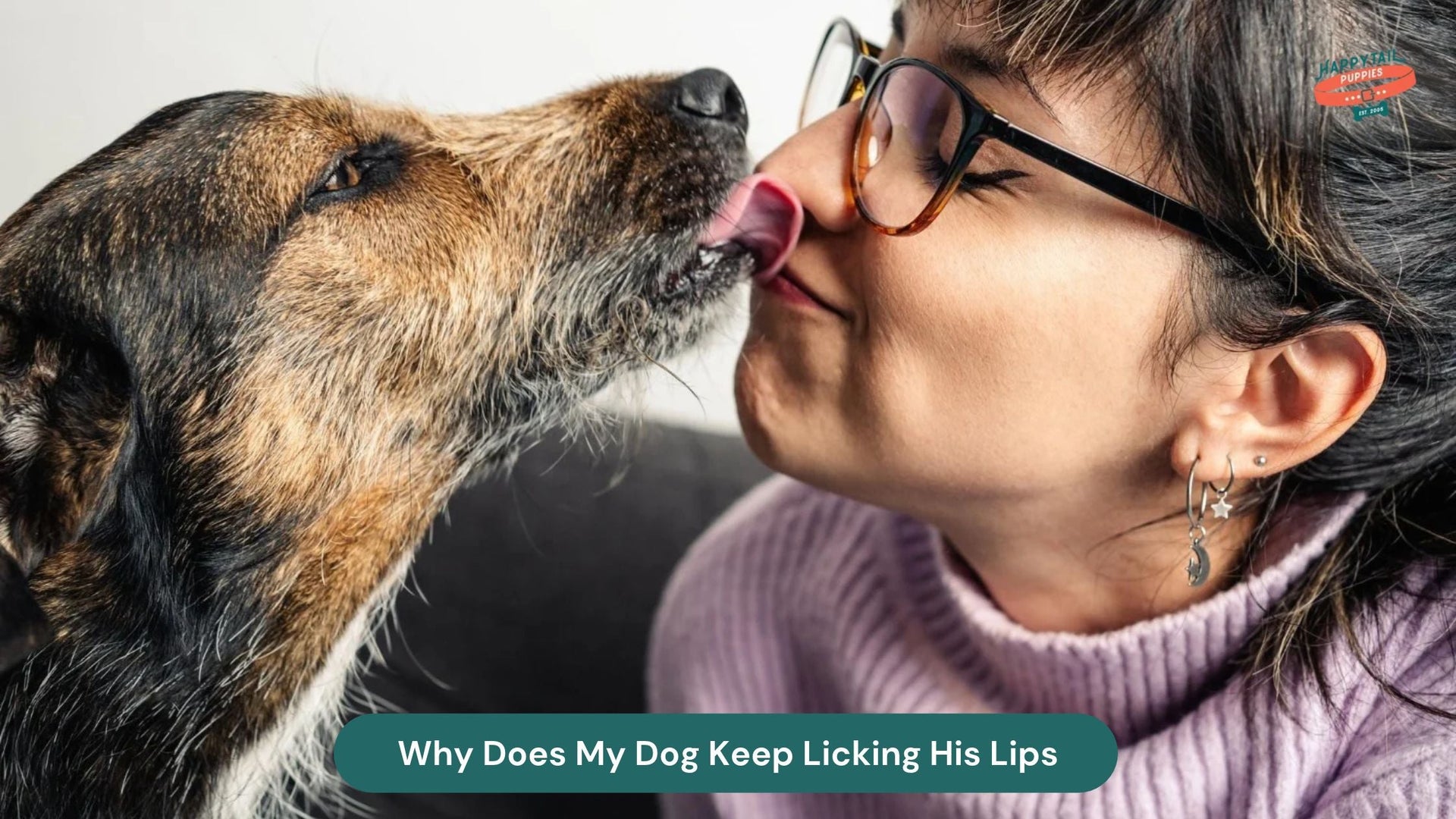 Why Does My Dog Keep Licking His Lips