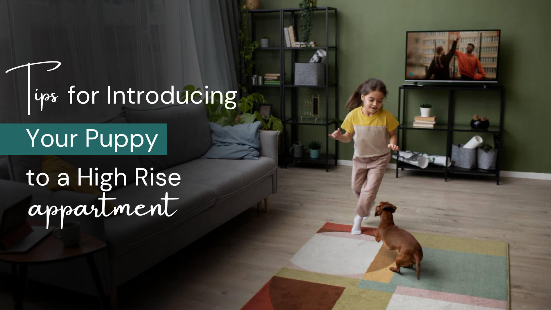 Introducing your puppy to a high rise apartment
