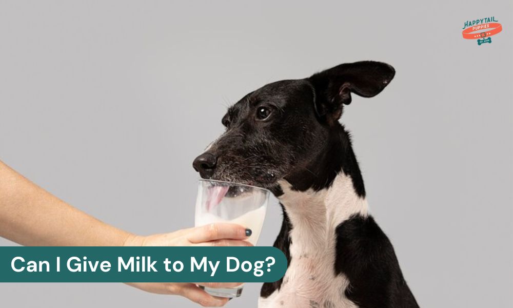 can I give milk to my dog