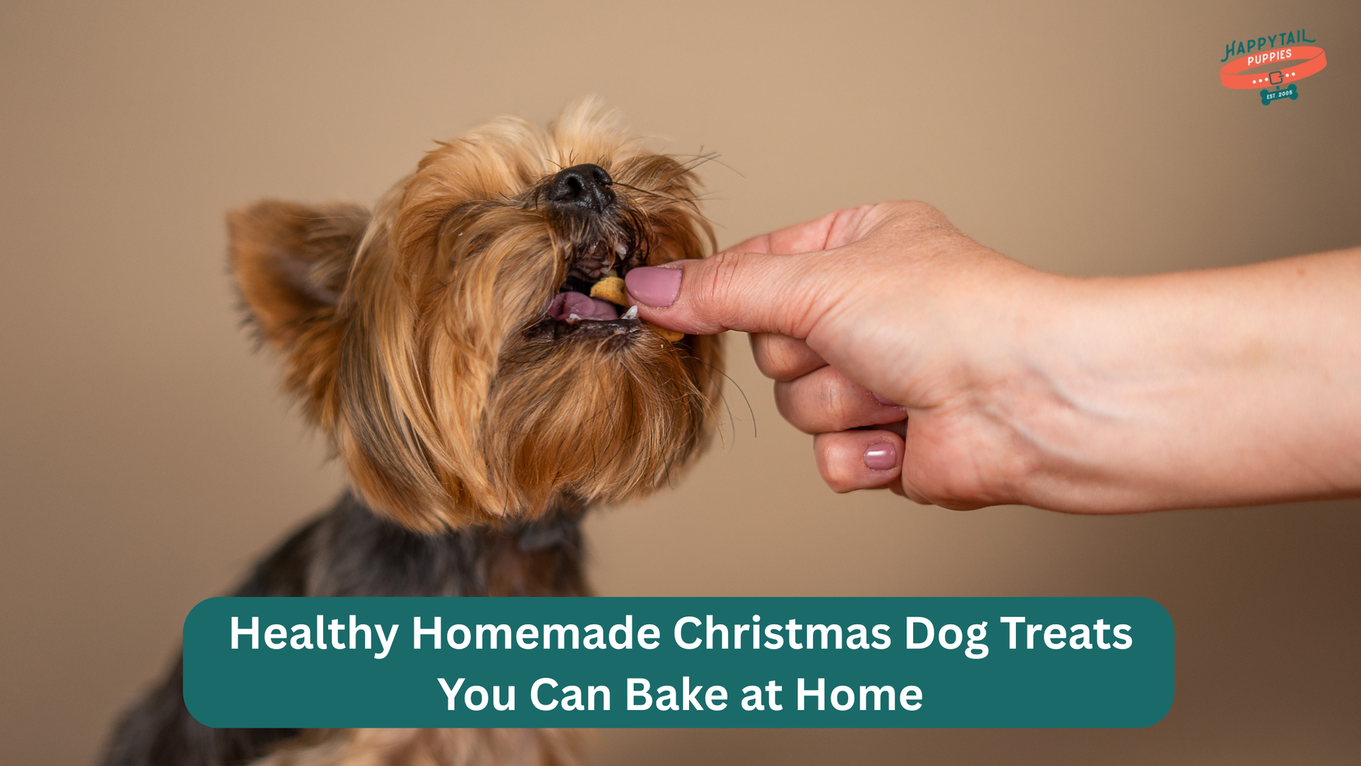 homemade christmas treats for dogs