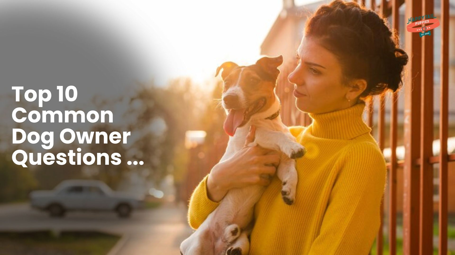 common dog owner questions