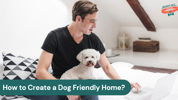 Creating a Dog Friendly Home: Design Tips for Happy Pets