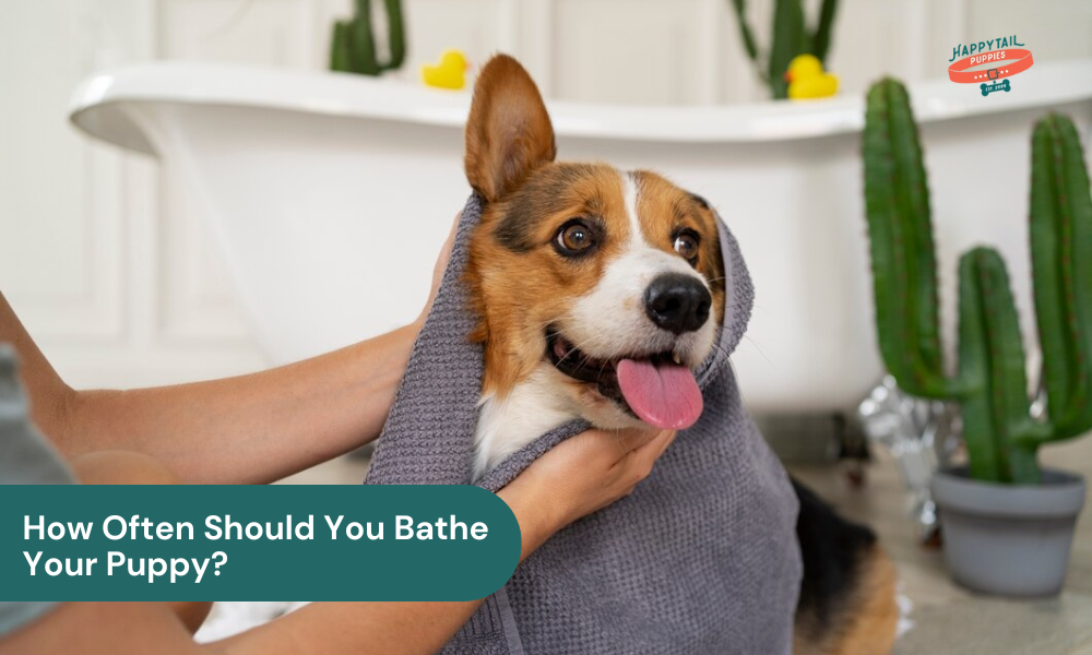 how often should you bathe your puppy