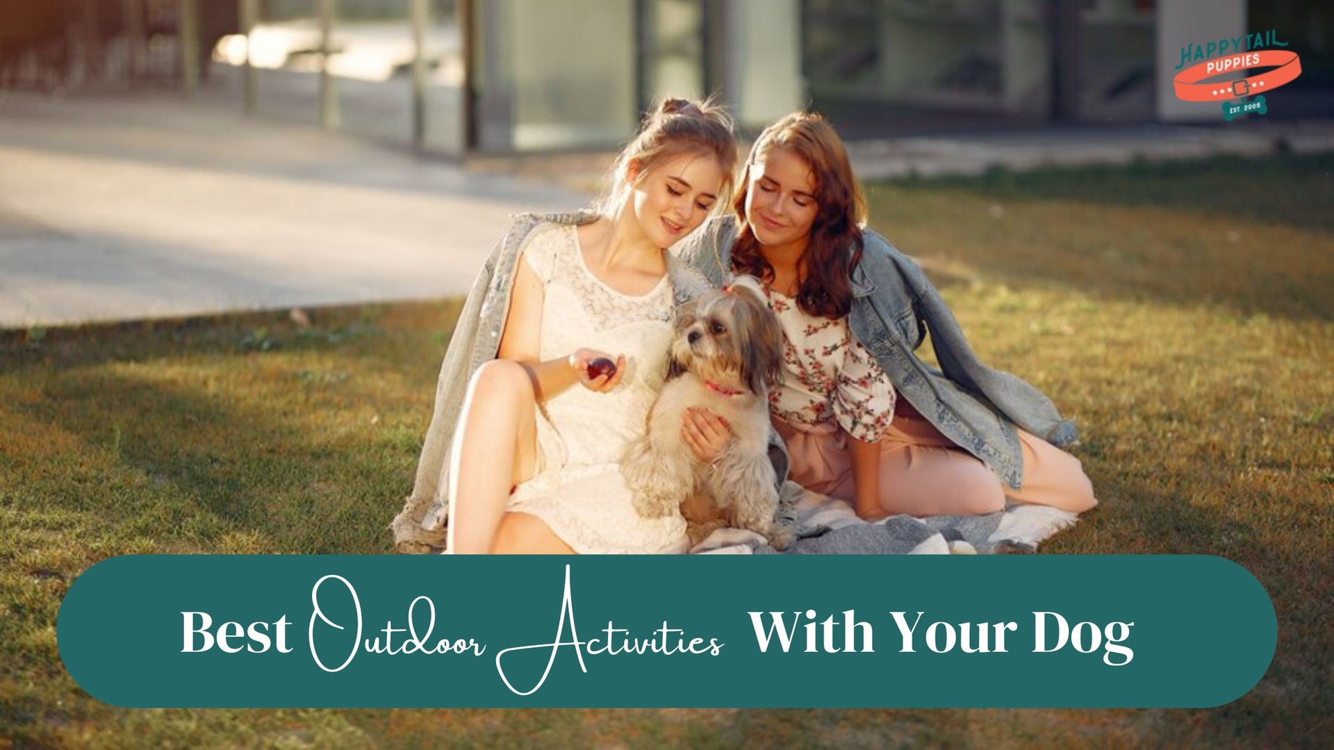 Outdoor Activities With Your Dog