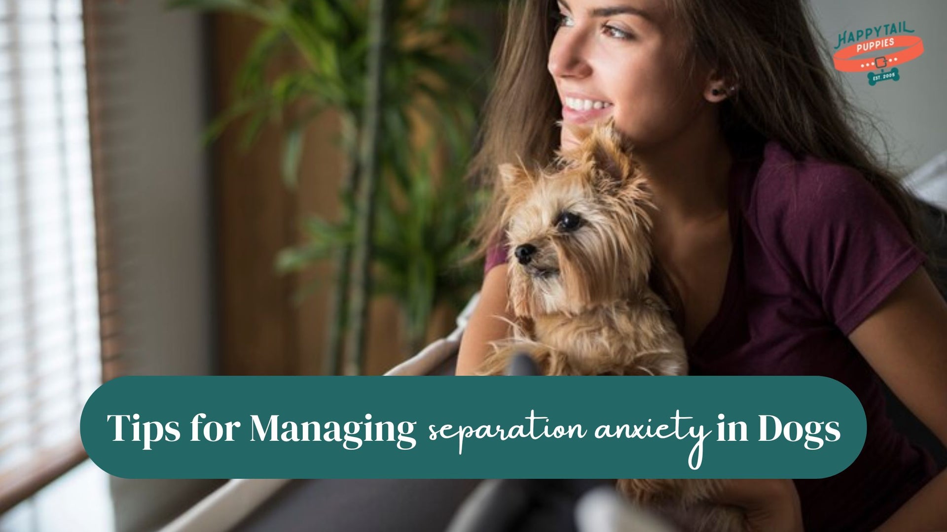 Tips for Managing Separation Anxiety in Dogs