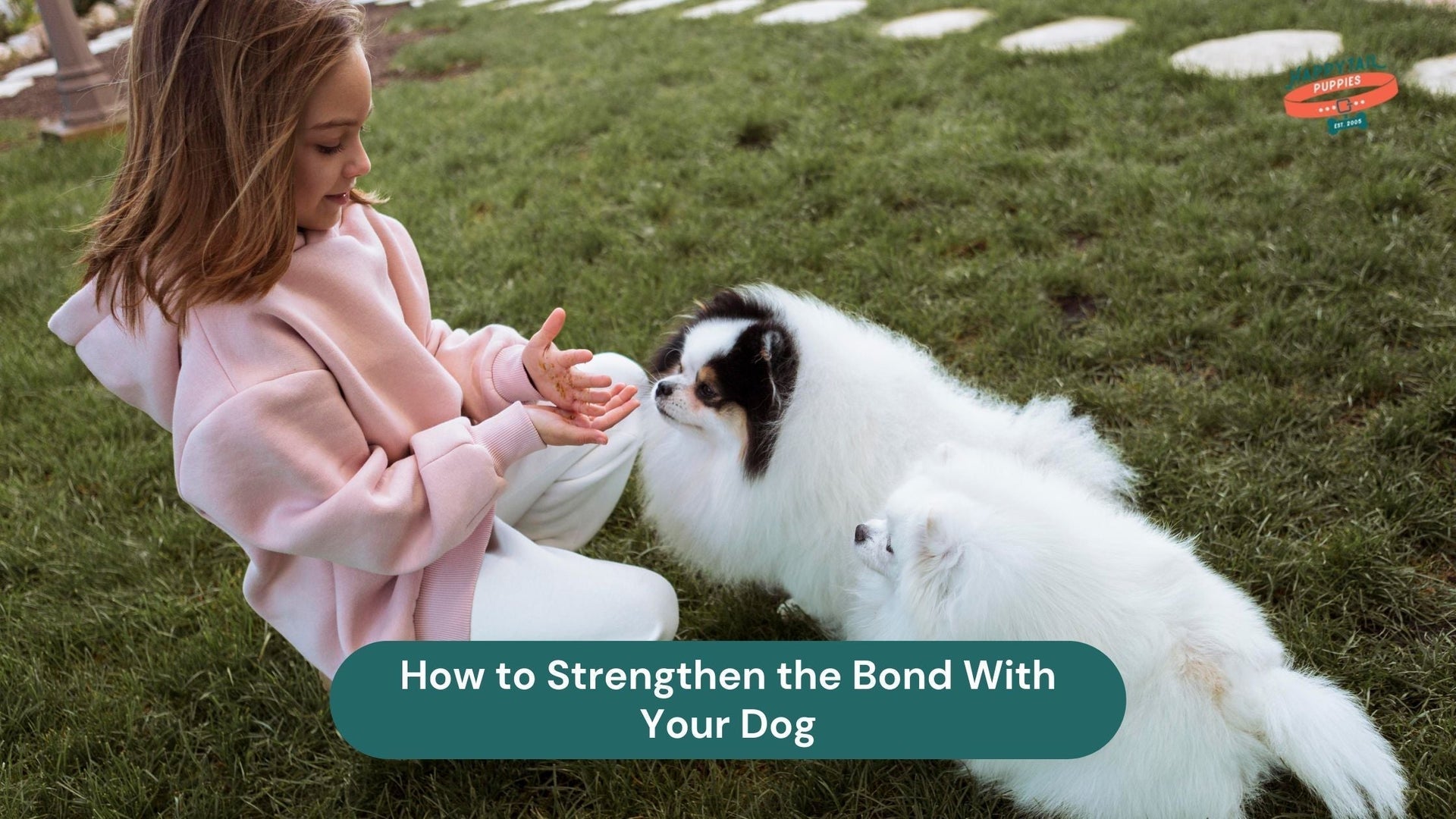 strengthen bond with your dog