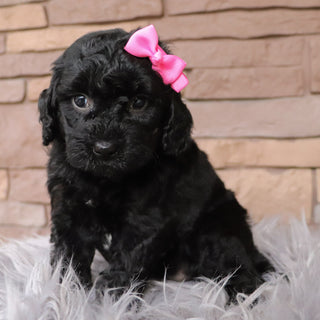 Lillian