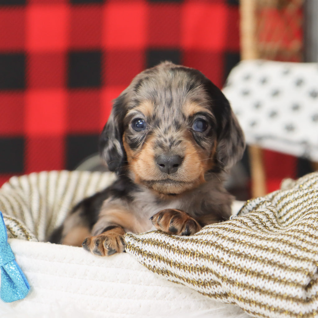 Ron - Available 1/14