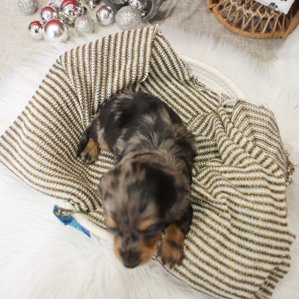 Ron - Available 1/14