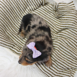 Samantha - Available 1/14