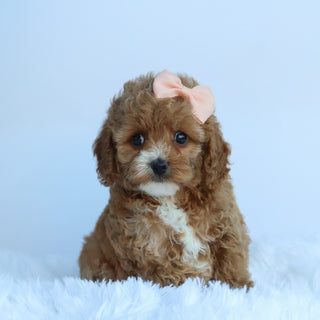 Theresa - Available 10/15