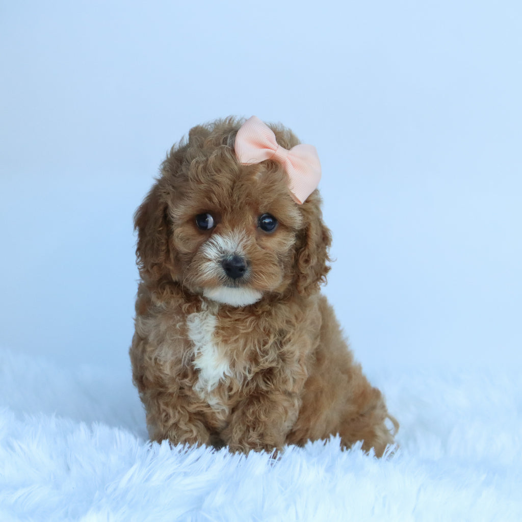 Theresa - Available 10/15