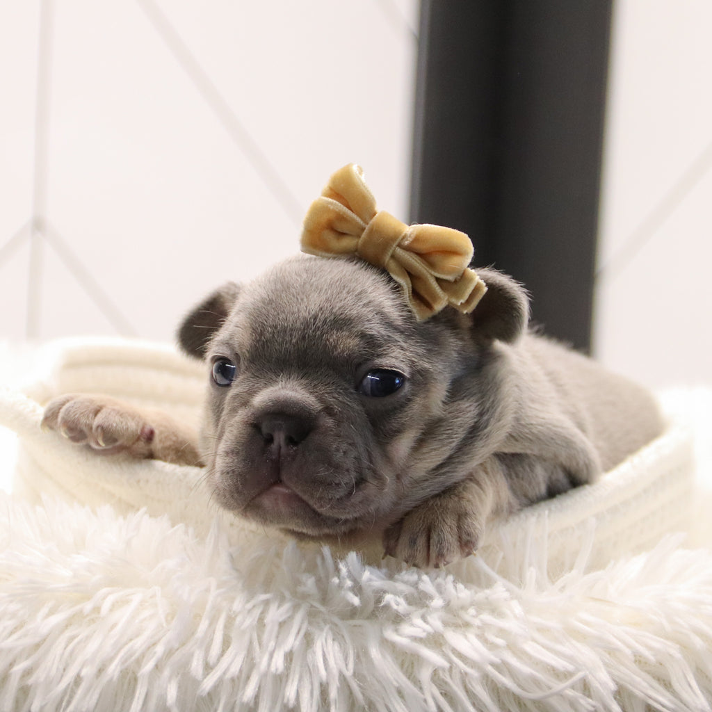 Kate - Available 2/4