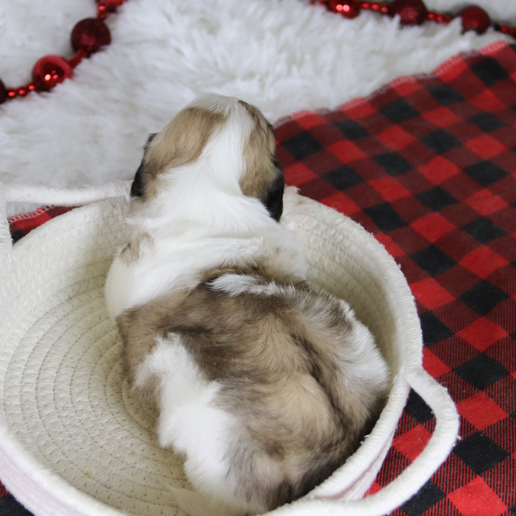 Winkley - Available 1/28