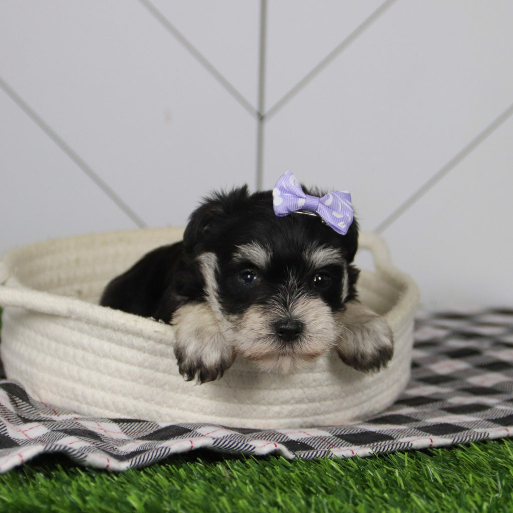 Jessica - Available 12/31