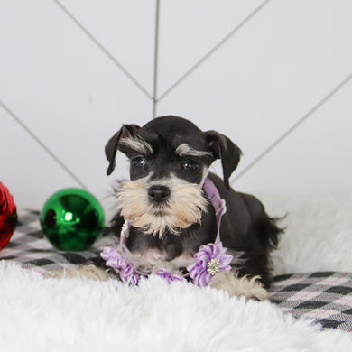 Jessica - Available 12/31