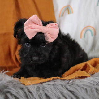 Millie