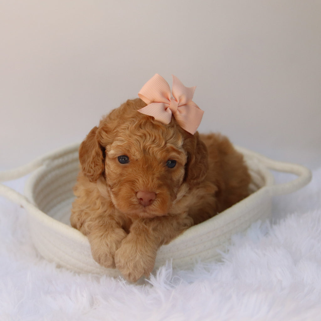 Jody - Available 10/22