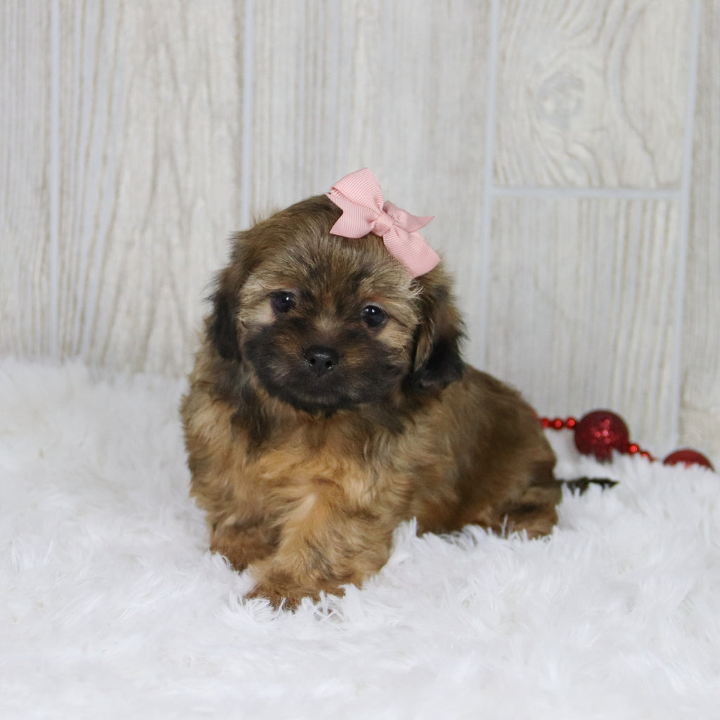 Tammy - Available 1/14