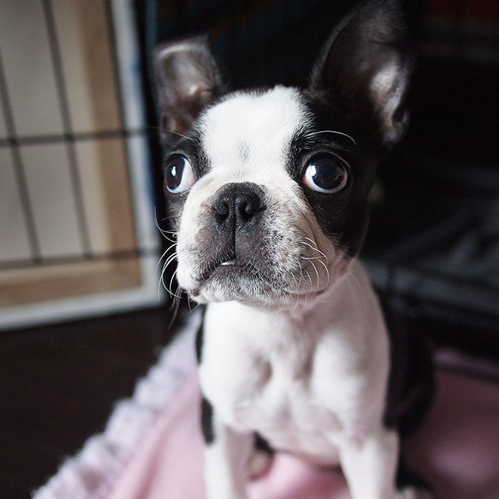 About_Travel_Packages