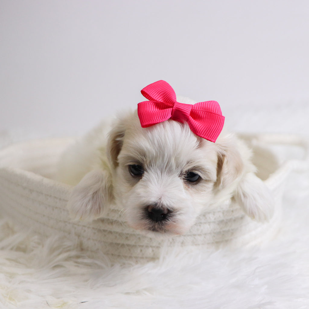 Berit - Available Now