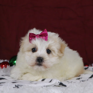 Berit - Available Now