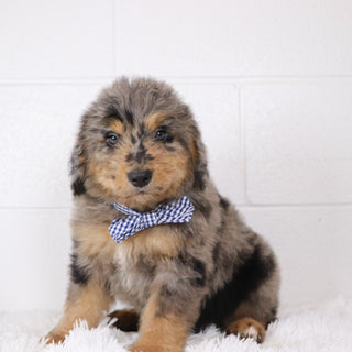 Ekon - Available 1/15