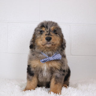 Ekon - Available 1/15