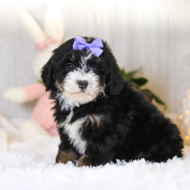 Delilah - Available Now