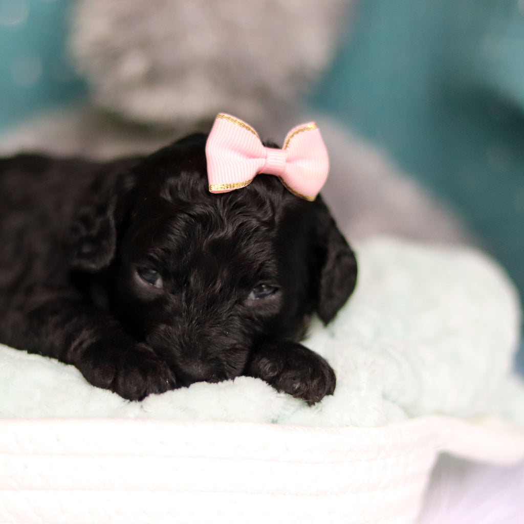 Lillian