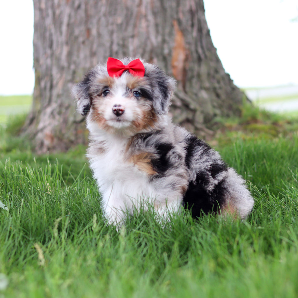 Sophia - Available 5/14