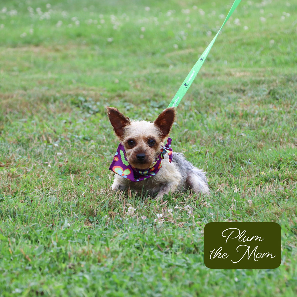 Helen - Available 12/17