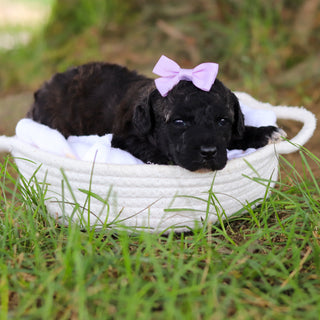 Debbie - Available 8/6