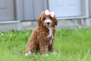 Jilly - Available 7/23
