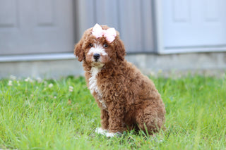 Jilly - Available 7/23