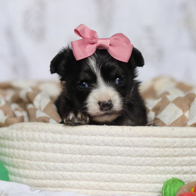 Kaia - Available 5/7