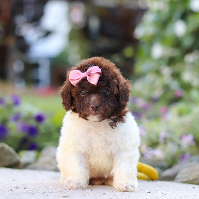 Wendy - Available 10/1